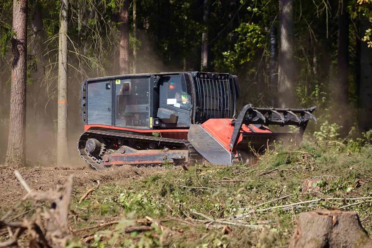 Land clearing and brush removal