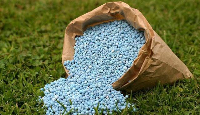 Lawn fertilization and weed control service