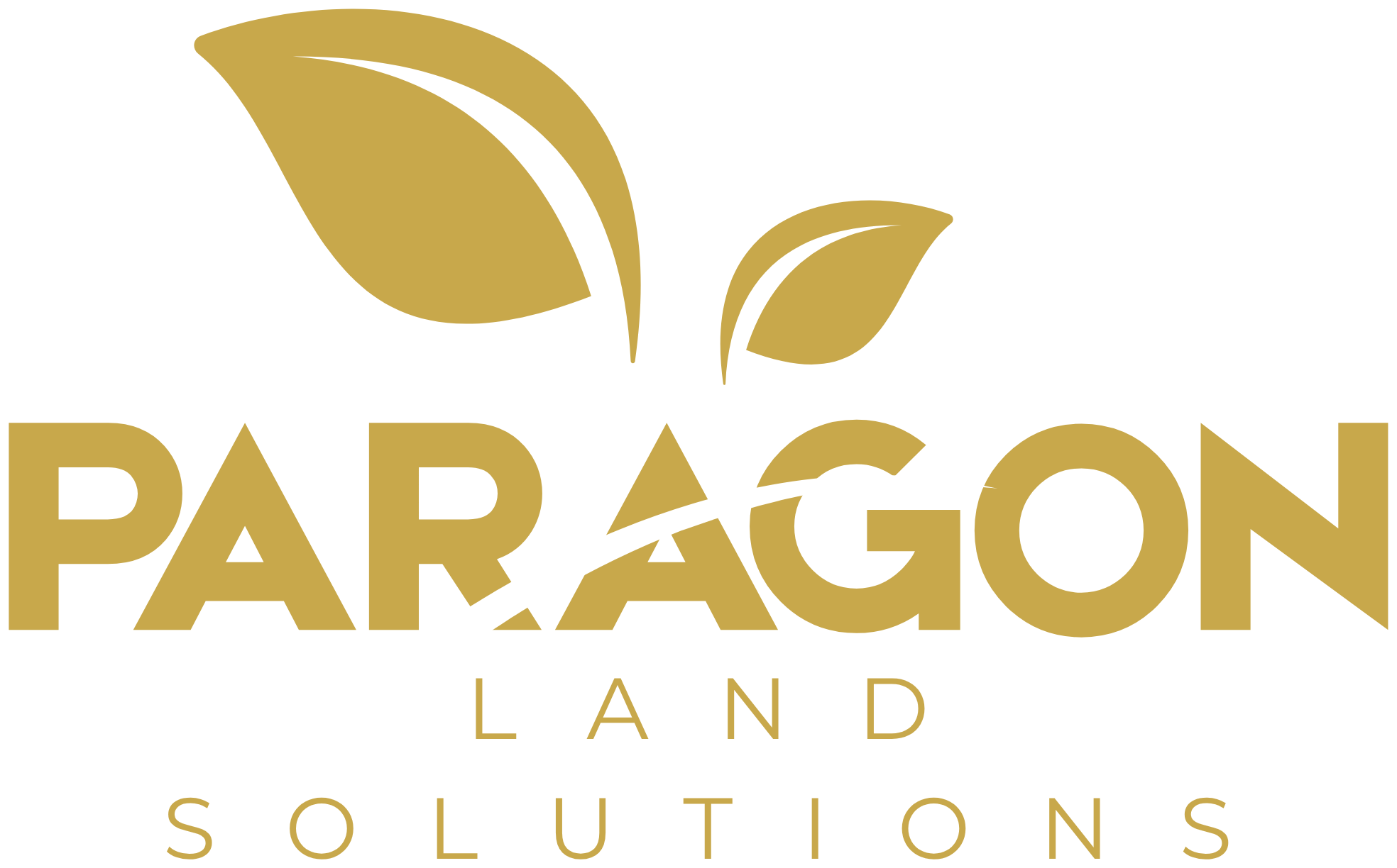 Paragon Land Solutions
